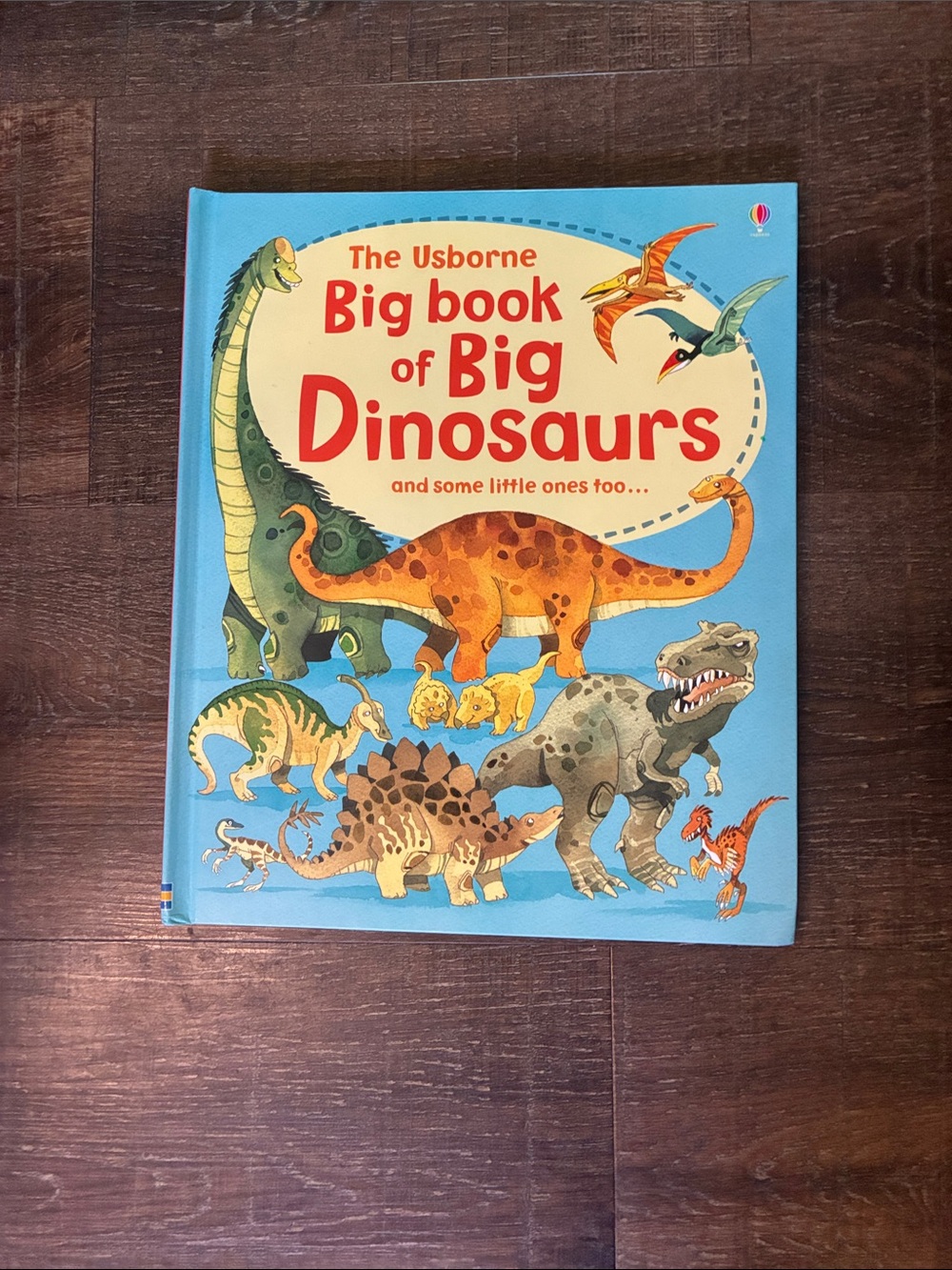 The Usborne Big Book of Big Dinosaurs and Some little ones too